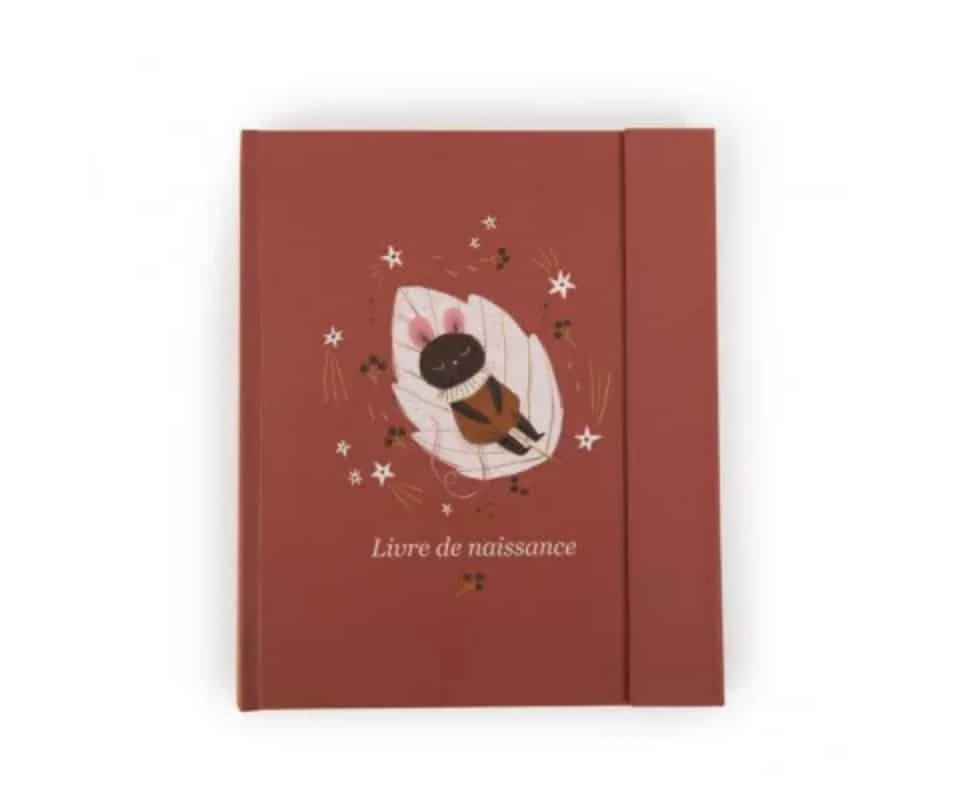 Livre Naissance Aprés La Pluie